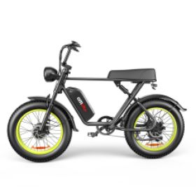 C91-20 Inch Dual-drive High-speed Electric Bike