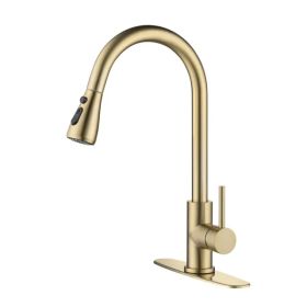 Kitchen Faucet with Pull Out Spraye (Option: As picture)